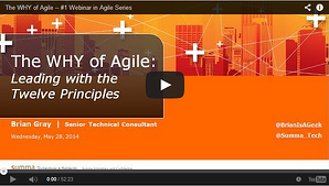 WHYofAgile_YouTube